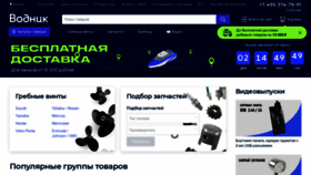 What Vodnik.ru website looked like in 2023 (1 year ago)