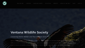 What Ventanaws.org website looked like in 2023 (1 year ago)