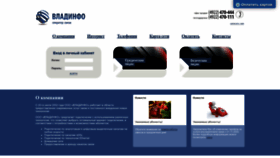 What Vladinfo.ru website looked like in 2023 (This year)