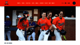 What Virginiasports.com website looked like in 2023 (This year)