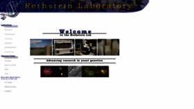 What Vetelia.com website looked like in 2023 (This year)