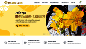 What Vuonmaihoanglong.com website looked like in 2023 (This year)