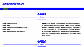 What Vidivici-china.com website looked like in 2023 (This year)