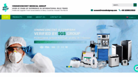 What Vvmedicalgroup.com website looked like in 2023 (This year)