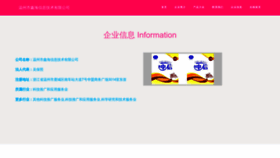 What Vxinhai.com website looked like in 2023 (This year)
