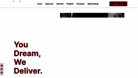 What Viewnepal.net website looked like in 2023 (This year)
