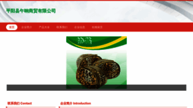 What Vunnno.cn website looked like in 2023 (This year)