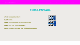 What Vwbxyhj.cn website looked like in 2023 (This year)