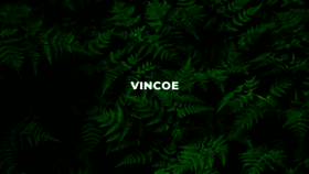 What Vincoe.com website looked like in 2023 (This year)