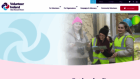 What Volunteeringireland.ie website looks like in 2024 