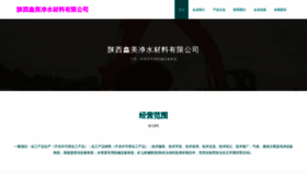 What Vipxinmeiti.com website looks like in 2024 