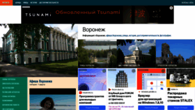 What Vrnplus.ru website looks like in 2024 