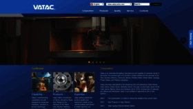 What Vatacvalve.com website looks like in 2024 