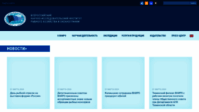What Vniro.ru website looks like in 2024 