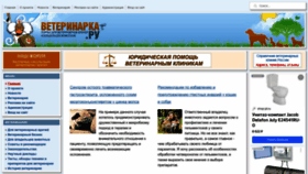 What Veterinarka.ru website looks like in 2024 