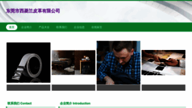 What Vjane.cn website looks like in 2024 