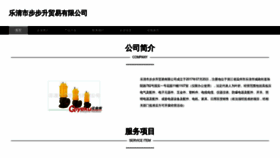 What Vwpnvah.cn website looks like in 2024 