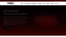 What Volatilityfoundation.org website looks like in 2024 