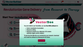 What Vectorbuilder.com website looks like in 2024 