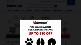 What Valleyvet.com website looks like in 2024 