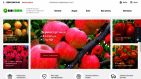 What Vam-semena.ru website looks like in 2024 