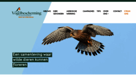 What Vogelbescherming.be website looks like in 2024 