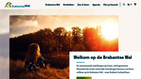 What Vvvbrabantsewal.nl website looks like in 2024 