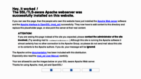 What Werktecht.nl website looked like in 2011 (12 years ago)