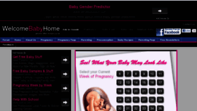 What Welcomebabyhome.com website looked like in 2013 (11 years ago)