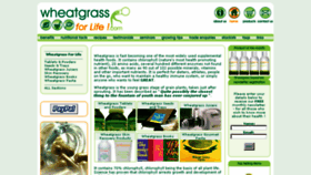 What Wheatgrassforlife.com website looked like in 2013 (10 years ago)