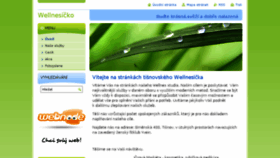 What Wellnesicko.cz website looked like in 2013 (10 years ago)