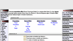 What Webbilgileri.com website looked like in 2013 (10 years ago)