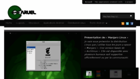 What Wilfriedcaruel.me website looked like in 2013 (10 years ago)