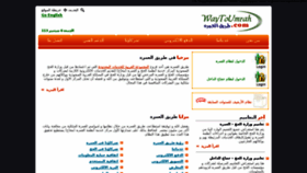 What Waytoumrah.com website looked like in 2013 (10 years ago)