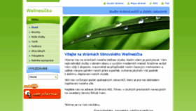 What Wellnesicko.cz website looked like in 2014 (10 years ago)