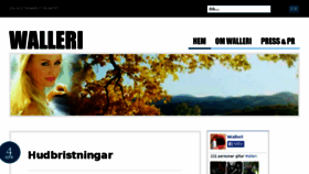 What Walleri.com website looked like in 2014 (9 years ago)