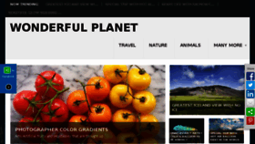 What Wonderfulplanet.net website looked like in 2015 (8 years ago)
