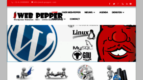 What Web-pepper.com website looked like in 2016 (8 years ago)