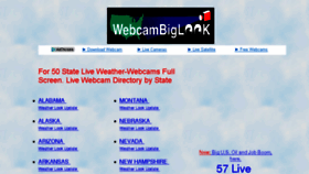 What Webcambiglook.com website looked like in 2016 (8 years ago)