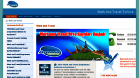 What Workandtravelturkiye.com website looked like in 2016 (9 years ago)