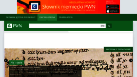 What We.pwn.pl website looked like in 2016 (8 years ago)