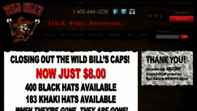 What Wildbillsfoods.com website looked like in 2016 (8 years ago)