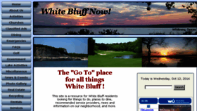 What Whitebluffnow.com website looked like in 2016 (7 years ago)