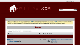 What Woollyal.com website looked like in 2017 (7 years ago)