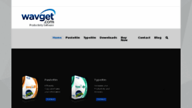 What Wavget.com website looked like in 2017 (7 years ago)