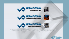 What Wandfluh.com website looked like in 2017 (7 years ago)