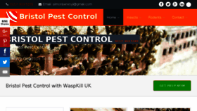What Waspkilluk.co.uk website looked like in 2017 (7 years ago)
