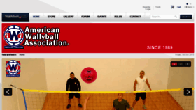 What Wallyball.com website looked like in 2017 (6 years ago)