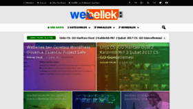 What Webellek.com website looked like in 2017 (8 years ago)