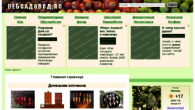 What Websadovod.ru website looked like in 2017 (6 years ago)